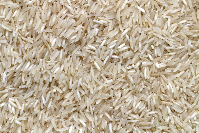 Reis Protein